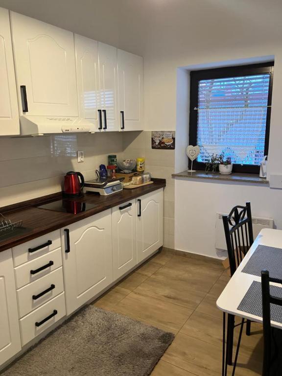 Alpino Apartment Ljubljana Luaran gambar